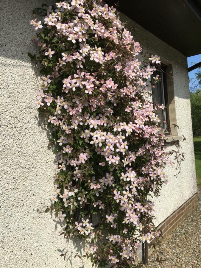 דונון Heronlea Cottage מראה חיצוני תמונה